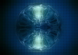 乐鱼体育平台app下载-运动康复课程设置在高校体育专业中的整合研究,运动康复教育学专业