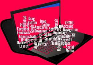 乐鱼体育登录-CBA开展球员社交媒体管理课程提高职业素养，运动员社交媒体